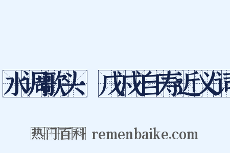 水调歌头·戊戍自寿近义词是什么意思的图片